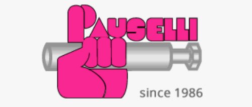 Logo de Pauselli